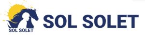 Hipicasolsolet